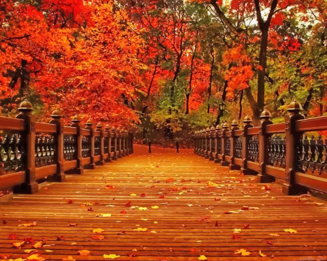 Beautiful Nature Fall New Paint By Numbers.png