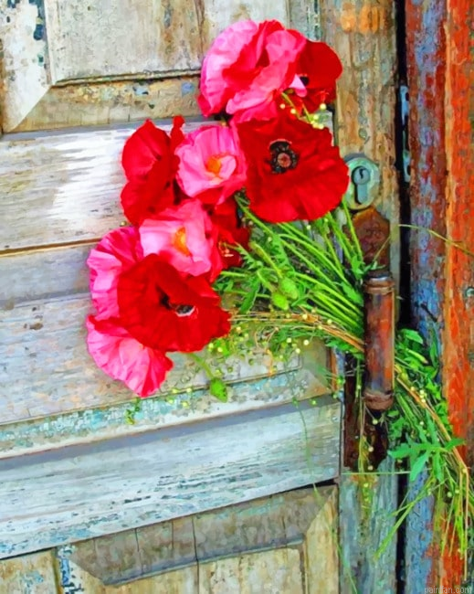 Beautiful Old Door And Flowers New Paint By Numbers.png