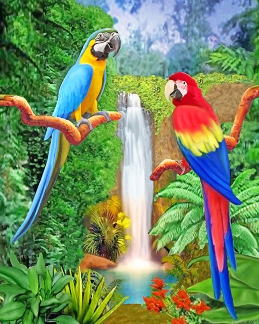 Beautiful Parrots New Paint By Numbers.png