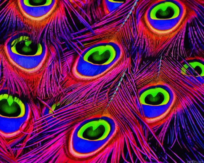 Beautiful Peacock Feather Paint By Numbers.png