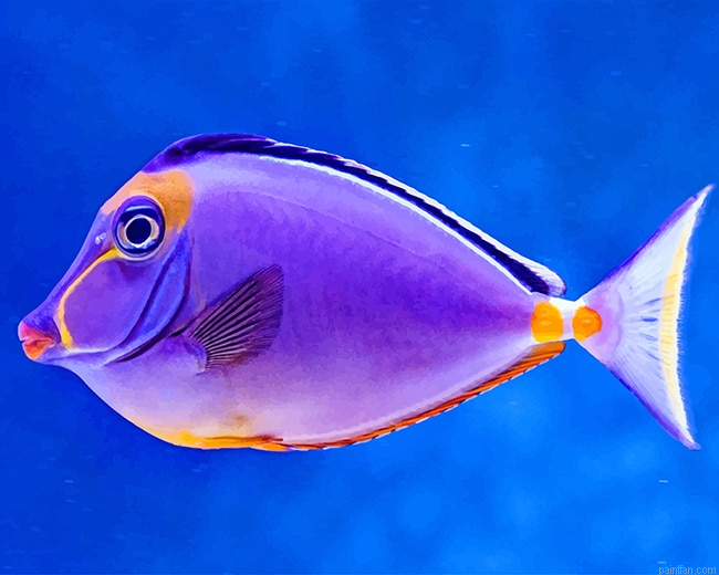 Beautiful Purple Fish New Paint By Numbers.png
