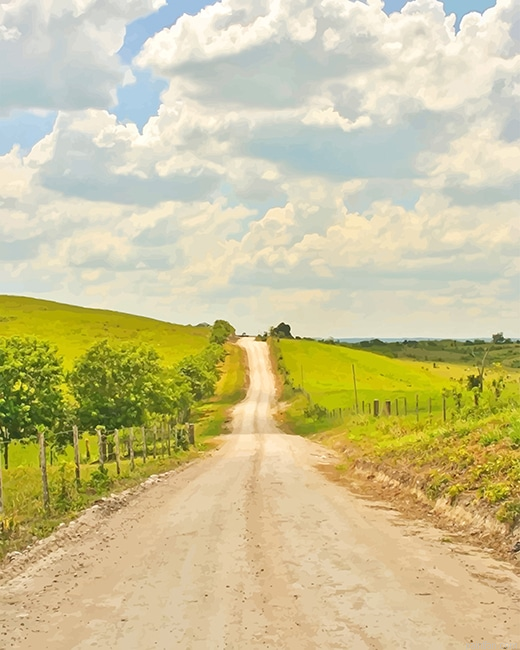 Beautiful Road New Paint By Numbers.png