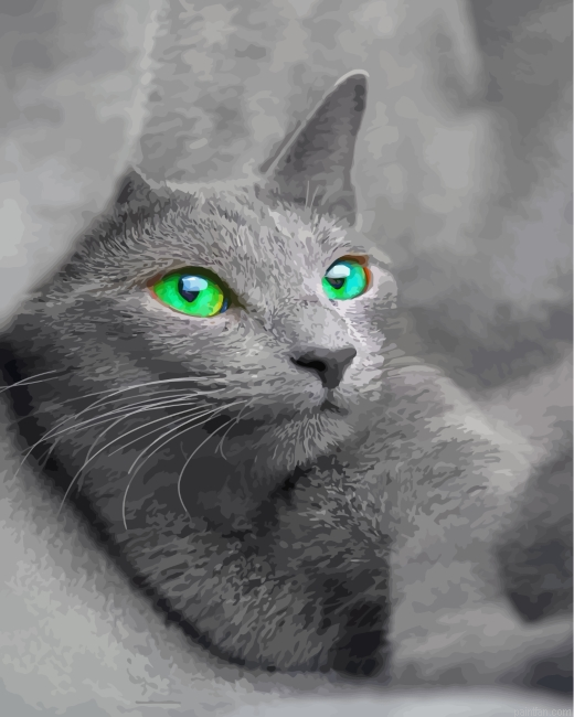 Beautiful Russian Blue Cat Paint By Number.png