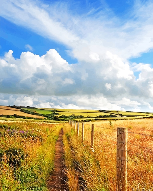 Beautiful View Nature New Paint By Numbers.png