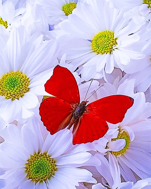 Beautiful White Flowers Red Butterfly New Paint By Numbers.png