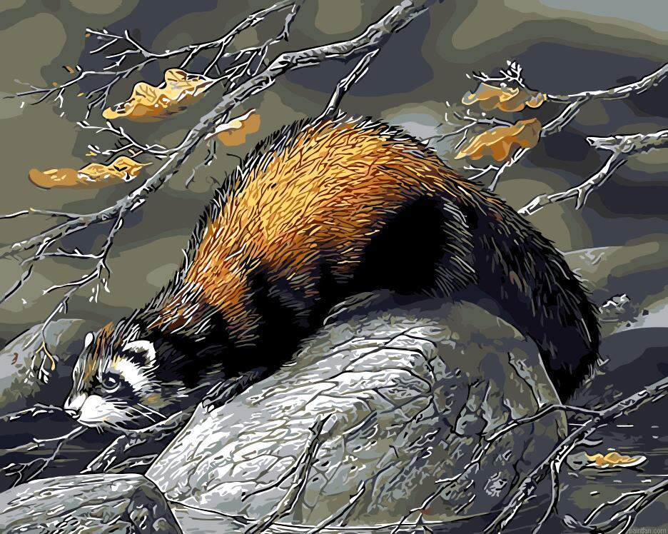 Beaver Animal Paint By Numbers.png