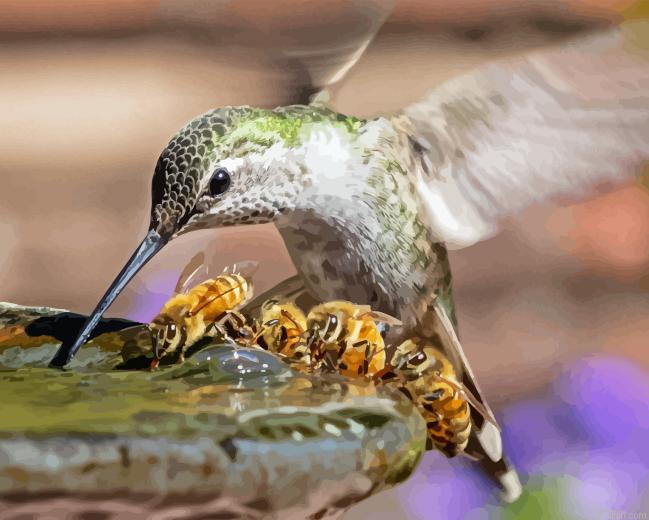 Bee And Hummingbird Paint By Numbers.png