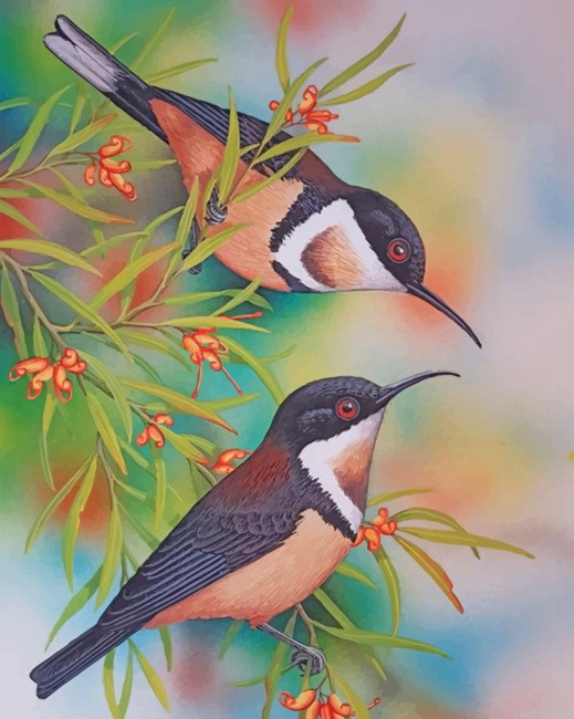Bee Hummingbirds Paint By Number.png