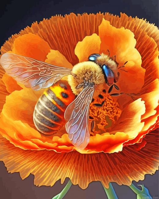 Bee On Flower Paint By Numbers.png