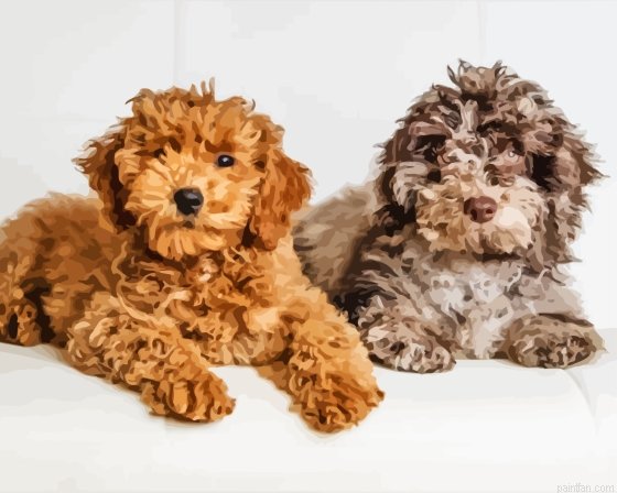 Beige And Brown Cockapoo Paint By Numbers.png