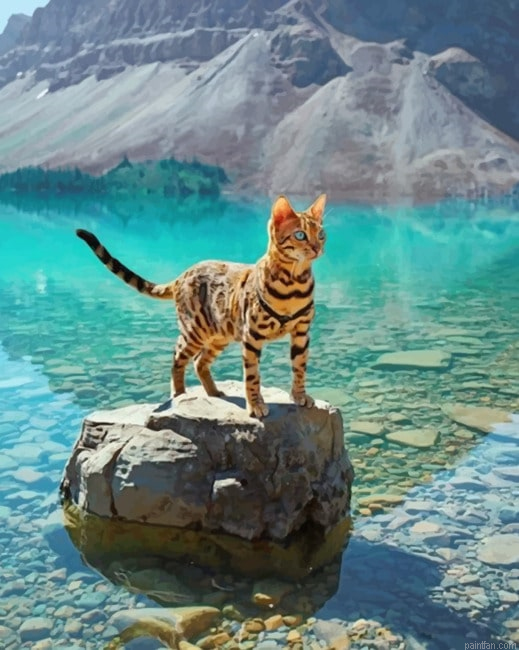 Bengal Cat In A Geographical Beauty Seascape New Paint By Numbers.png