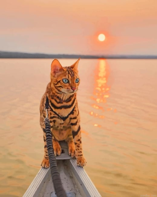Bengal Cat In A Magical Sunrise New Paint By Numbers.png