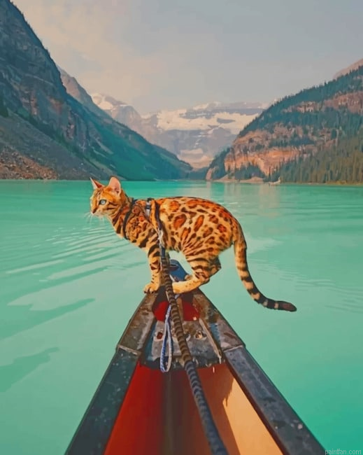 Bengal Cat In Banff National Park New Paint By Numbers.png