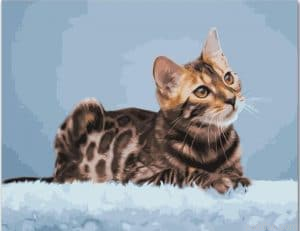 Bengal Cat Paint By Numbers.png