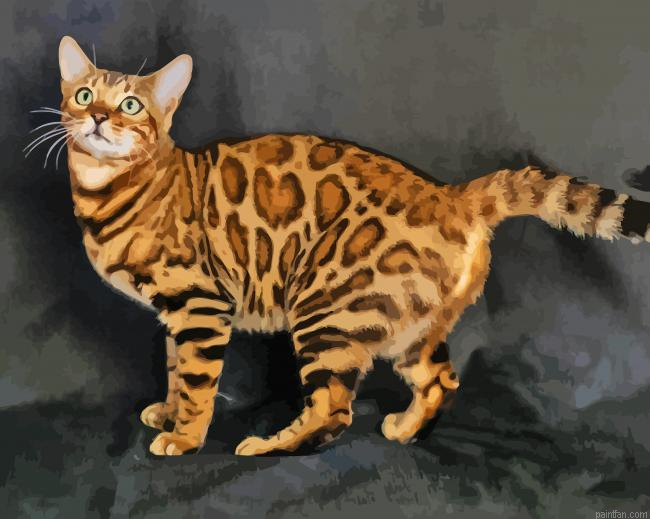 Bengale Paint By Numbers.png