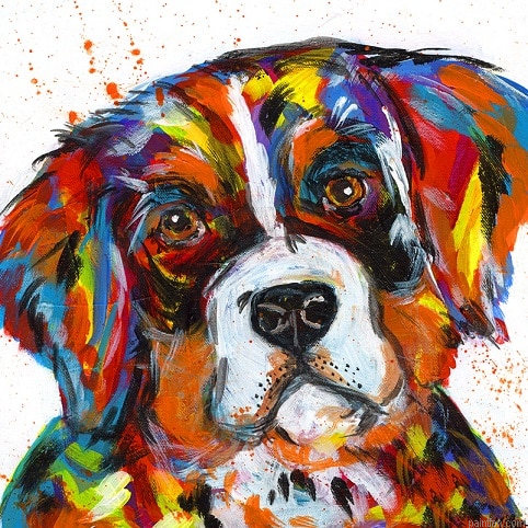 Bernese Mountain Dog Paint By Numbers.png