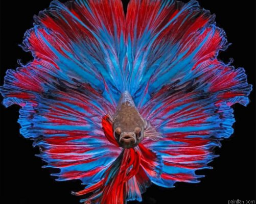 Betta Fish Paint By Number.png