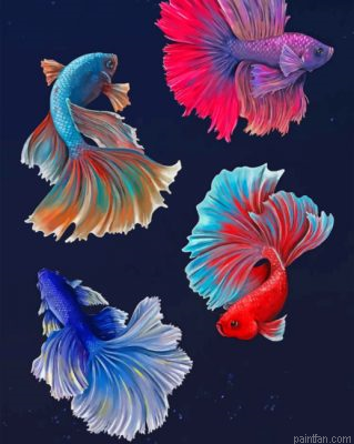 Betta Fishes Vector Paint By Number.png