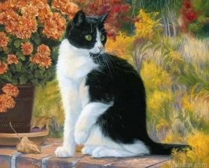Bicolor Cat Paint By Numbers.png