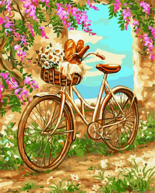 Bicycle With Flowers Paint By Number.png
