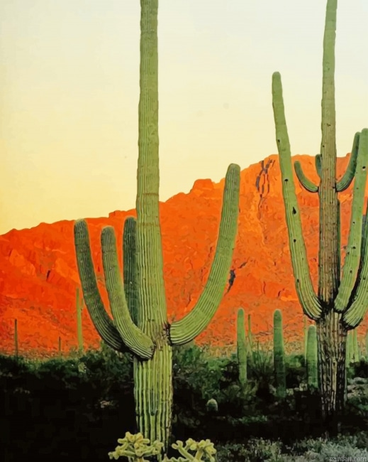 Big Cactus Mountains New Paint By Numbers.png
