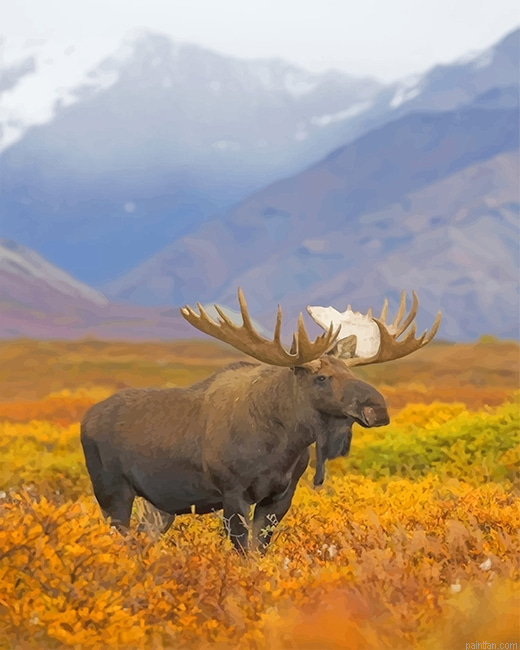 Big Moose New Paint By Numbers.png