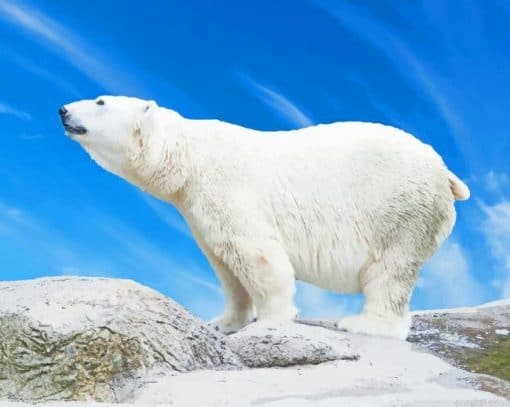 Big Polar Bear Paint By Number.png