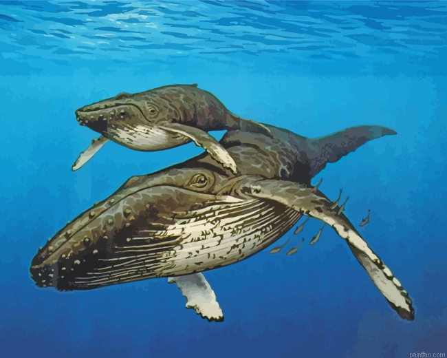 Big Whales Paint By Number.png