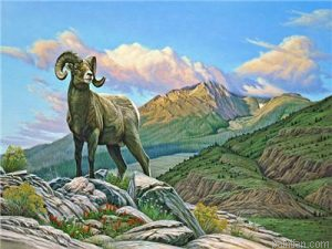 Bighorn Sheep Paint By Numbers.png