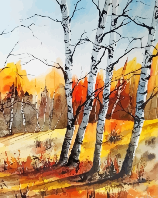Birch Trees Forest Paint By Numbers.png