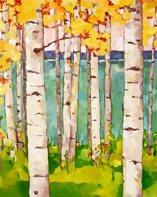 Birch Trees Paint By Numbers.png