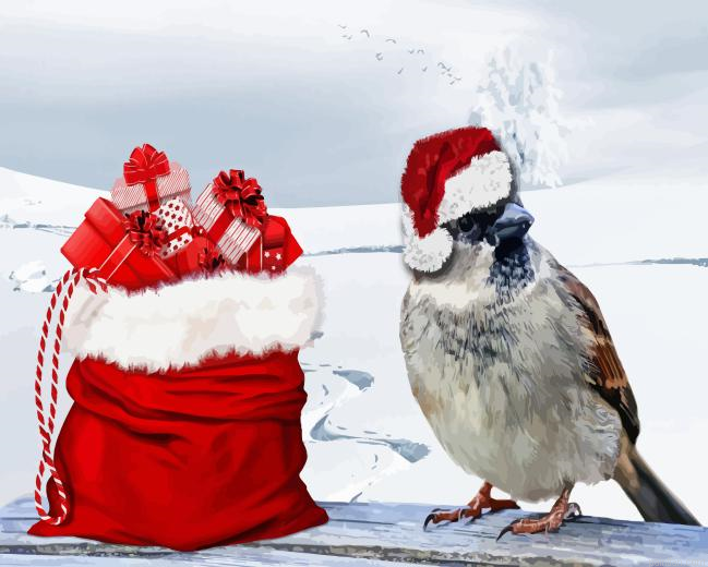 Bird Christmas Paint By Numbers.png