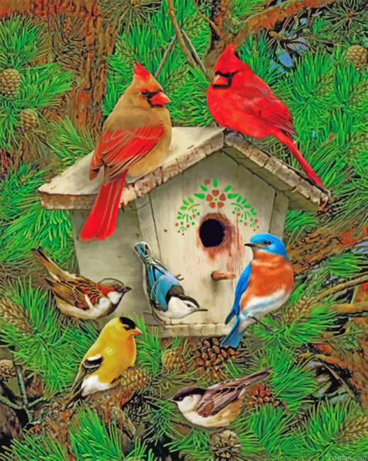 Bird House Paint By Numbers.png