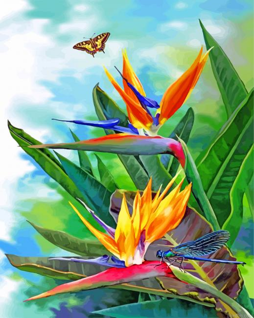 Bird Of Paradise And Butterfly Paint By Number.png