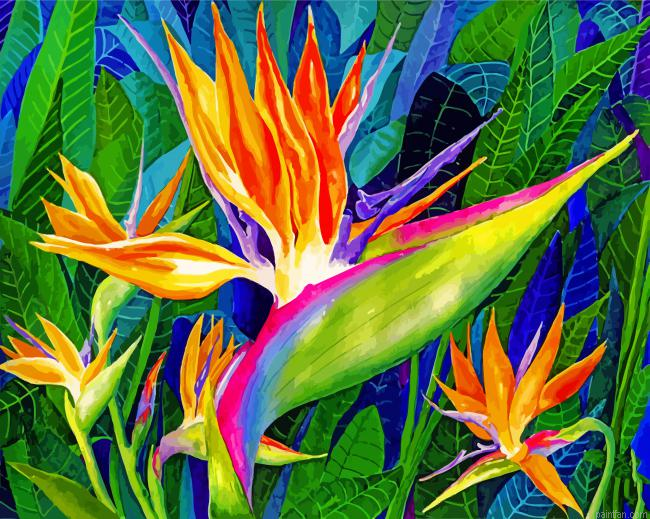 Bird Of Paradise Art Paint By Number.png