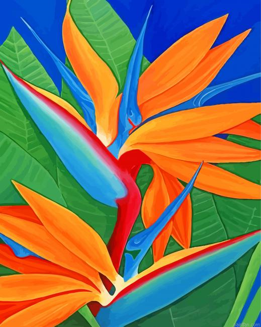 Bird Of Paradise Plant Paint By Number.png