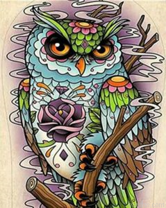 Bird Owl Paint By Numbers.png