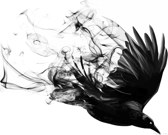 Bird Smoke New Paint By Numbers.png