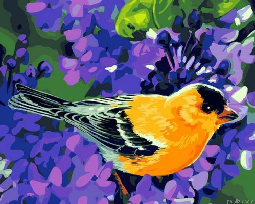 Bird With Flowers Paint By Numbers.png