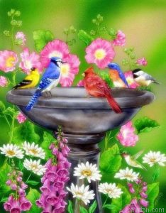 Birds Bath Paint By Numbers.png