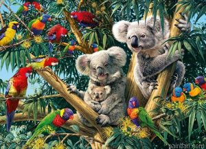 Birds Koalas Paint By Numbers.png
