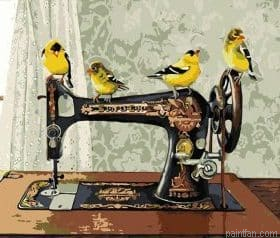 Birds Paint By Numbers.png