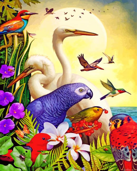 Birds Species Paint By Number.png