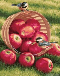 Birds On Basket Paint By Numbers.png
