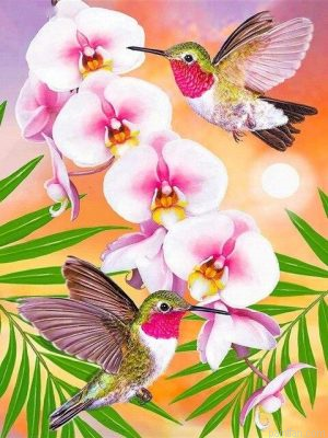 Birds On Flowers Paint By Numbers.png