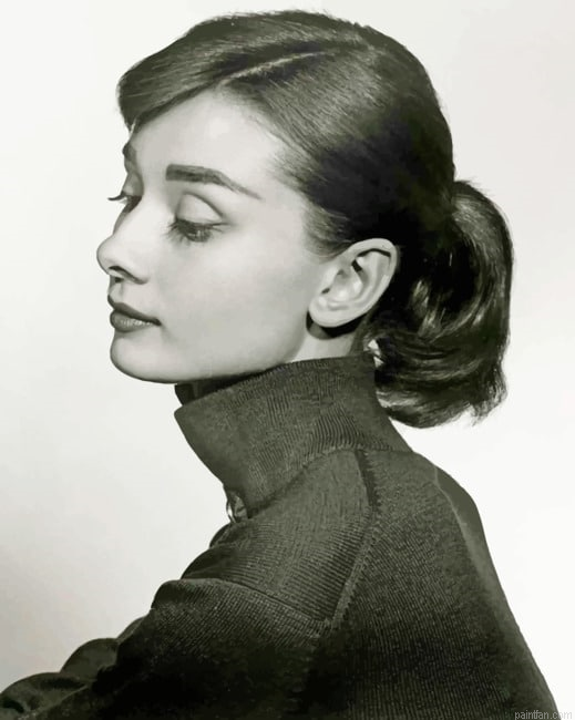 Black And White Audrey Hepburn Portrait New Paint By Numbers.png