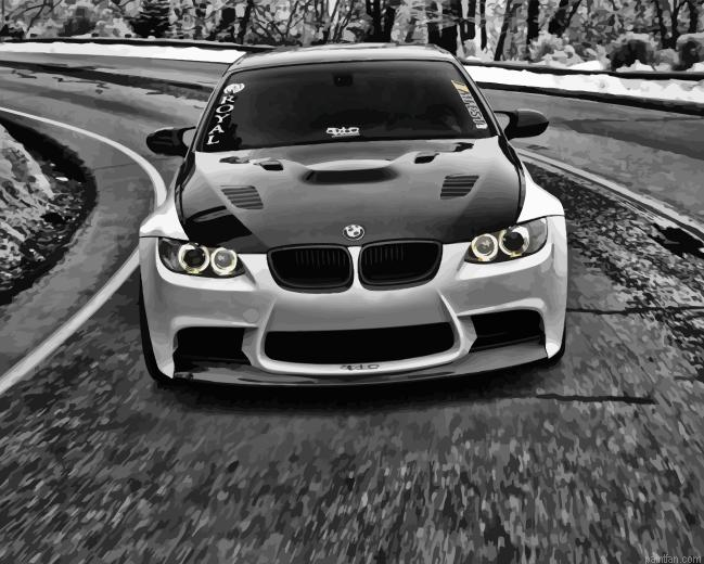 Black And White Bmw Car Paint By Numbers.png