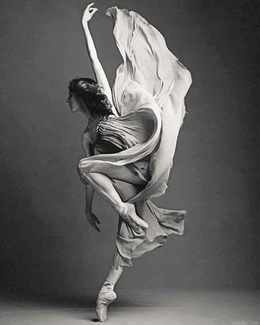 Black And White Ballerina New Paint By Numbers.png