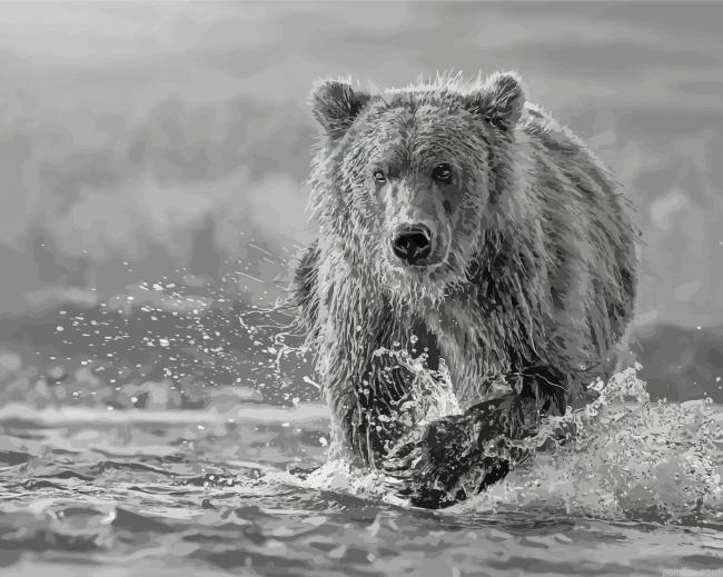 Black And White Bear Wildlife Paint By Numbers.png