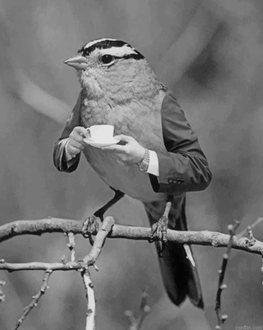 Black And White Bird Drinking New Paint By Numbers.png